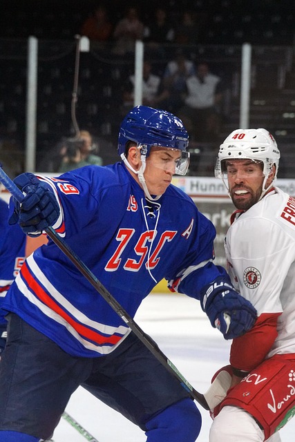 主观判断 主观判断